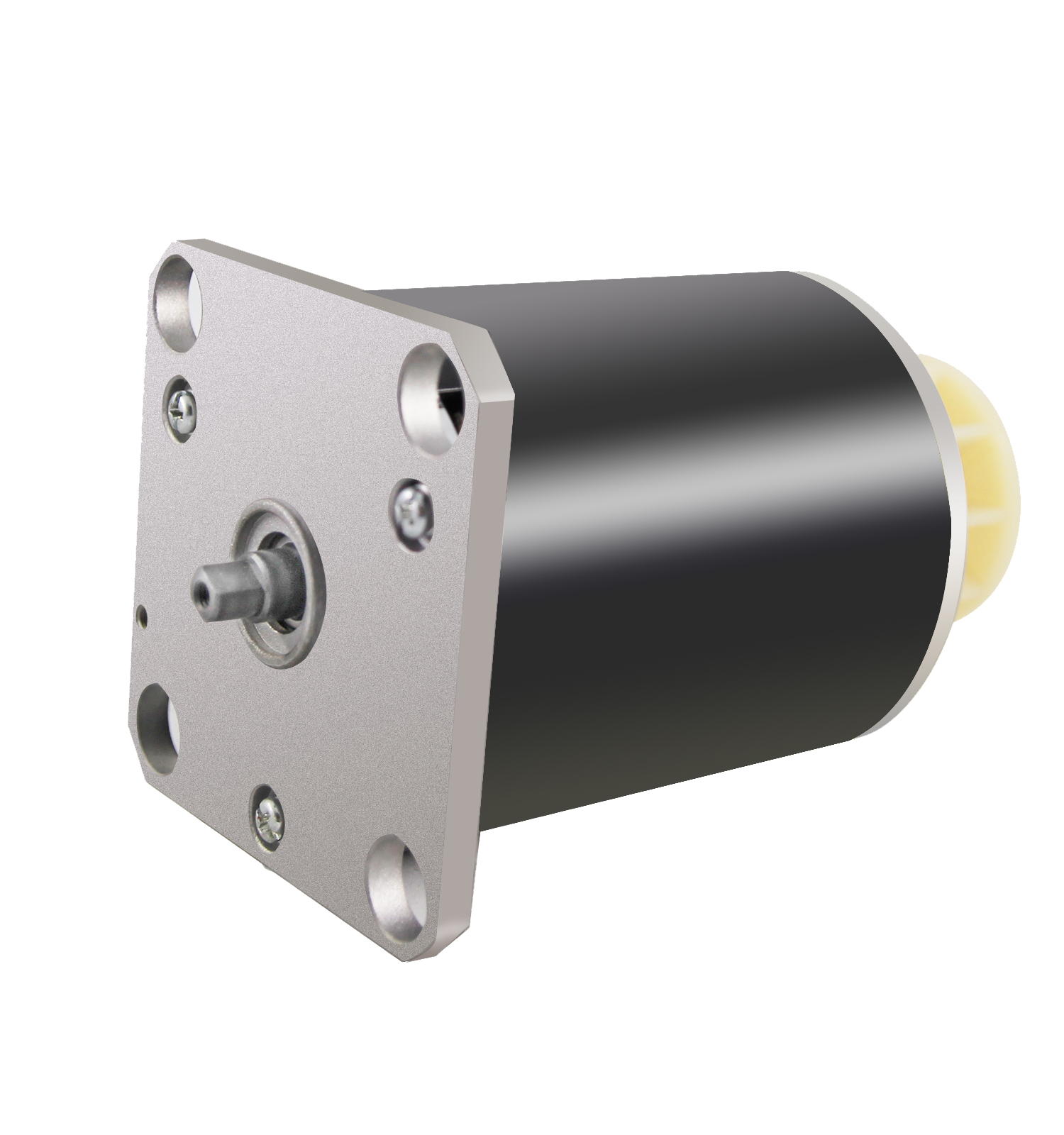 破壁機(jī)電機(jī)