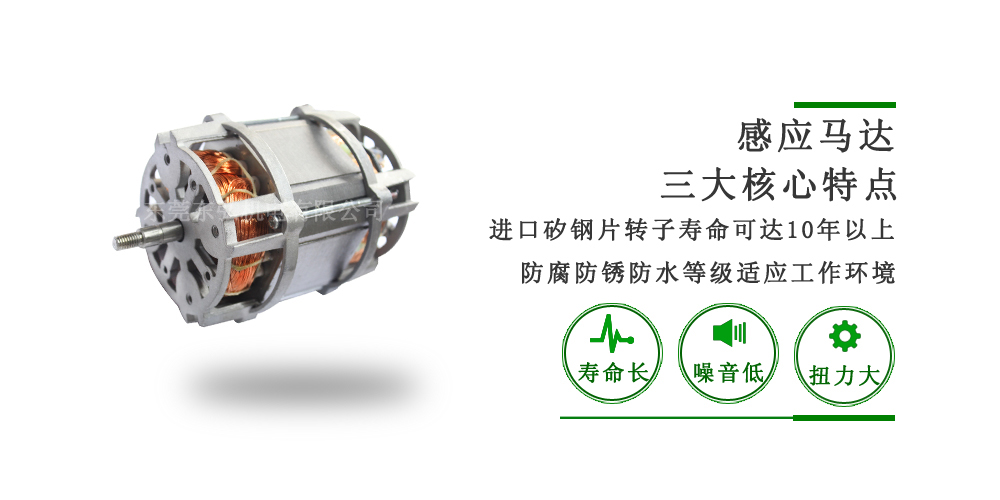 單相異步電機 電動勢 單相異步電機 電動勢